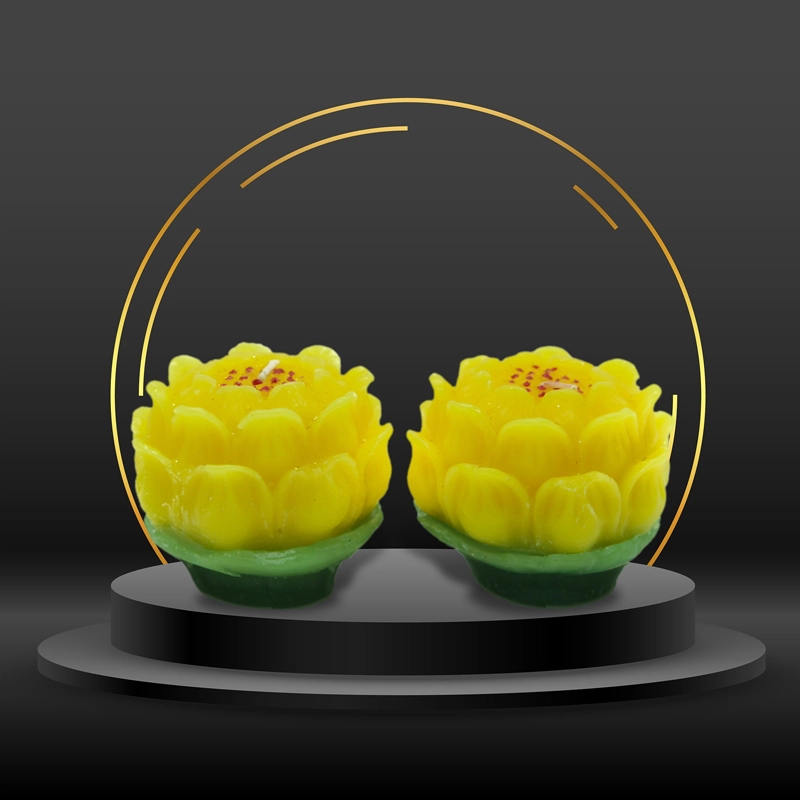 Black Tourmaline Protection Set – đá hộ thân + sợi chỉ đỏ cổ tay